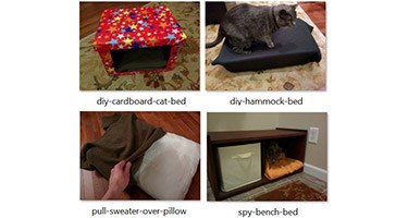 Fun DIY Beds for Your Cat