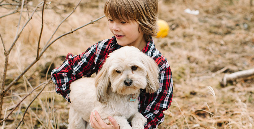 A young boy in a plaid shirt holds his white puppy.