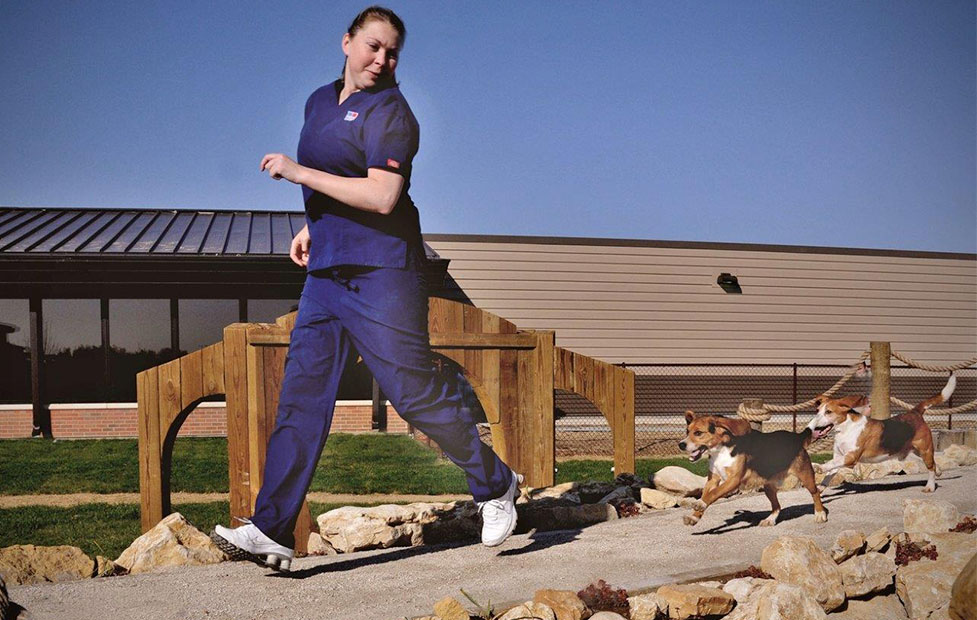 A Hill's employee runs with a couple of dogs at the Global Nutrition Center.