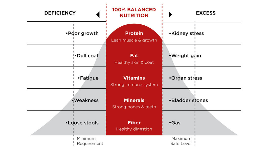 A chart showing the optimal balance of nutrition in Hill's Pet Food.