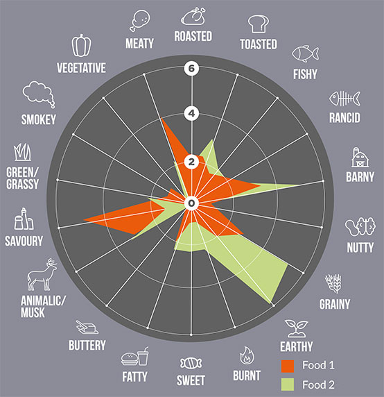 Chart showing the human sensory panel.