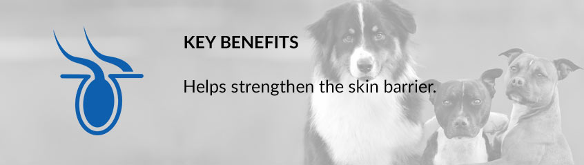 Key Benefits