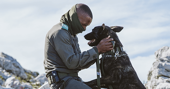 Help keep paws & boots on the ground in protecting our wildlife featured image