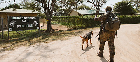 EPISODE 3: TOGETHER UNITED featured image