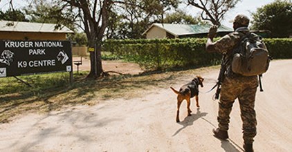 EPISODE 3: TOGETHER UNITED featured image