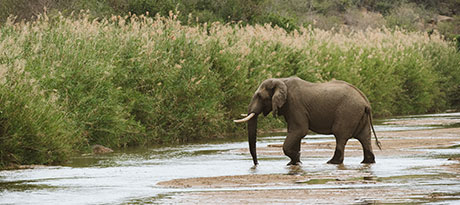 EPISODE 5: DISCONNECT. RECONNECT. featured image