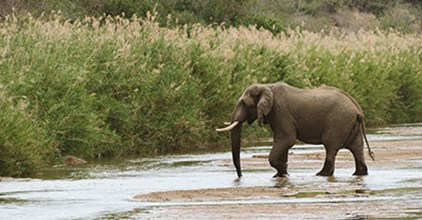 EPISODE 5: DISCONNECT. RECONNECT. featured image