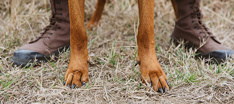 EPISODE 2: LIFE LINE featured image