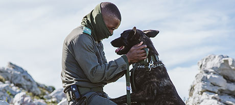 Help keep paws & boots on the ground in protecting our wildlife featured image