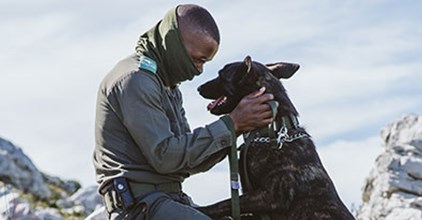 Help keep paws & boots on the ground in protecting our wildlife featured image