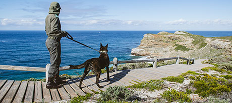 EPISODE 4: S.E.A.M. TEAM featured image