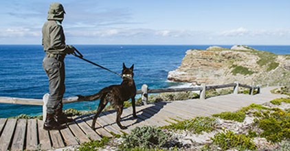 EPISODE 4: S.E.A.M. TEAM featured image