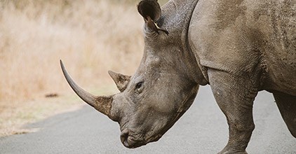 View our Gallery of amazing photos featured image