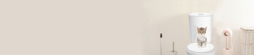 Training Your Kitten to Use a Litter Box featured image