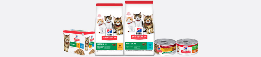  About Our Kitten Food featured image