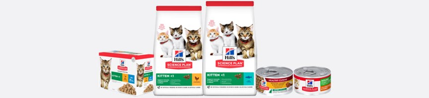  About Our Kitten Food featured image