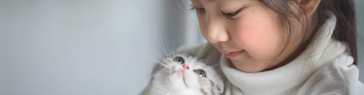 Playtime Tips for Kittens and Kids featured image