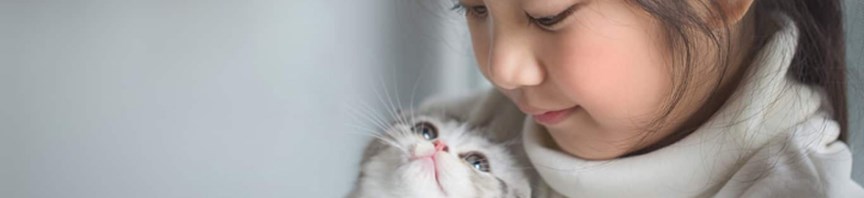 Playtime Tips for Kittens and Kids featured image