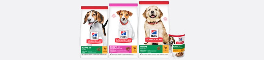 About Our Puppy Food featured image