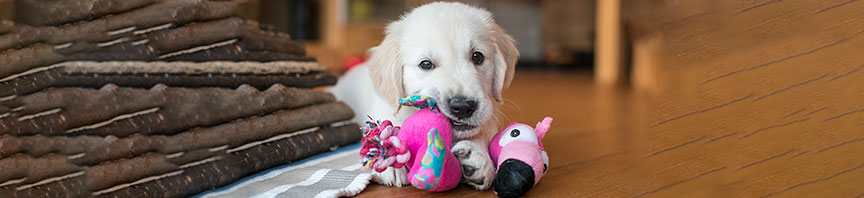 Learning Through Play featured image