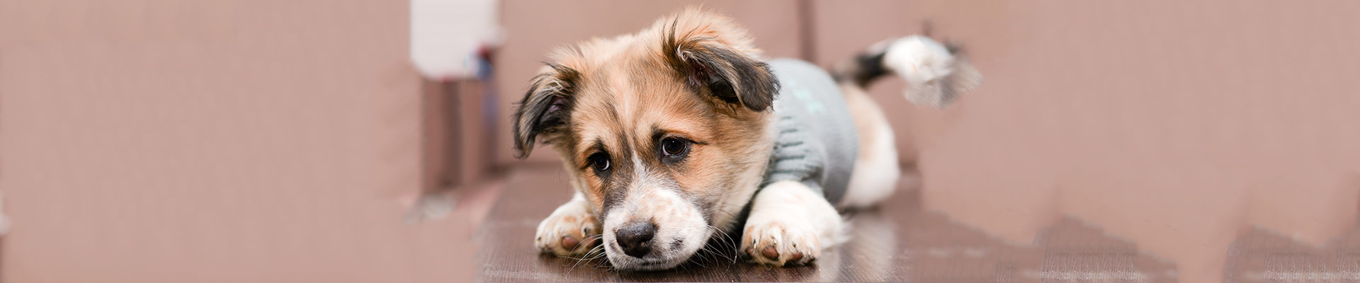 Time apart featured image