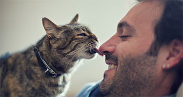 Easter for Pets: How to Celebrate a Fun and Safe Holiday