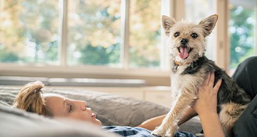 Identifying & Preventing Separation Anxiety in Your Dog