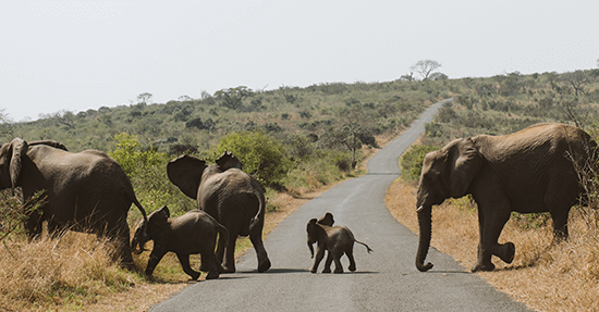 The National Parks featured featured image