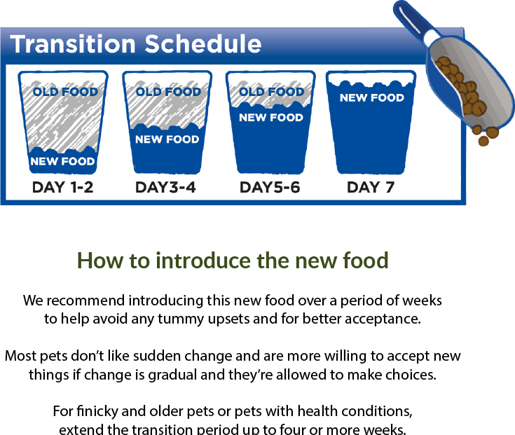 Transition Schedule