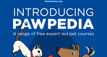 Pawpedia Facebook competition 2023