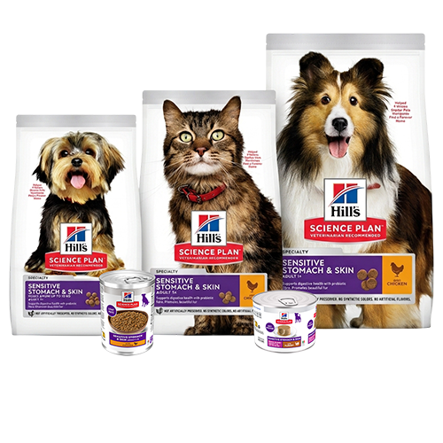Hill's Science Plan Sensitive Stomach &amp; Skin Adult Dog &amp; Cat preview image