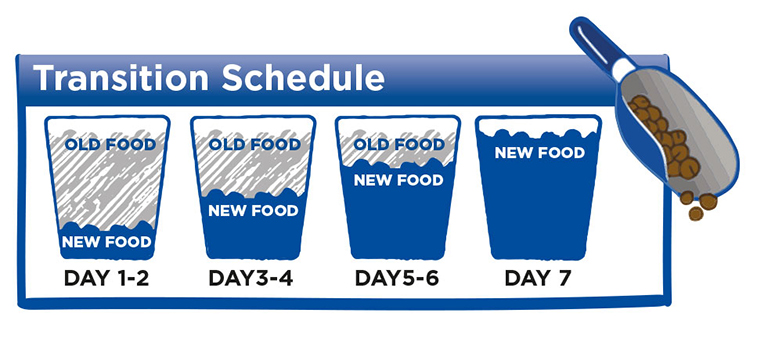 Transition Schedule