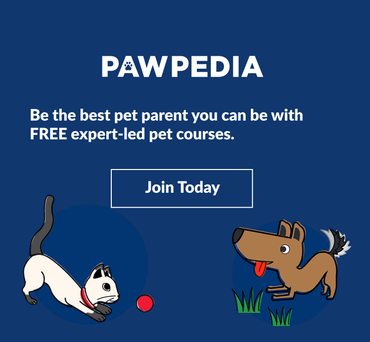 Pawpedia Banners