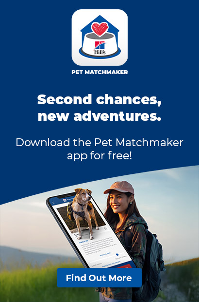 Pet Match Maker Banners