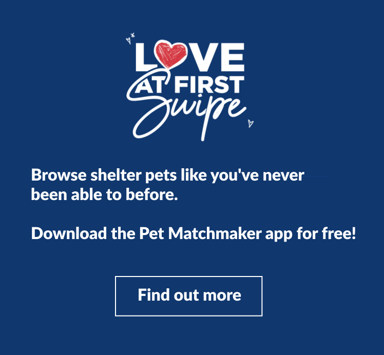 Pet Match Maker Banners